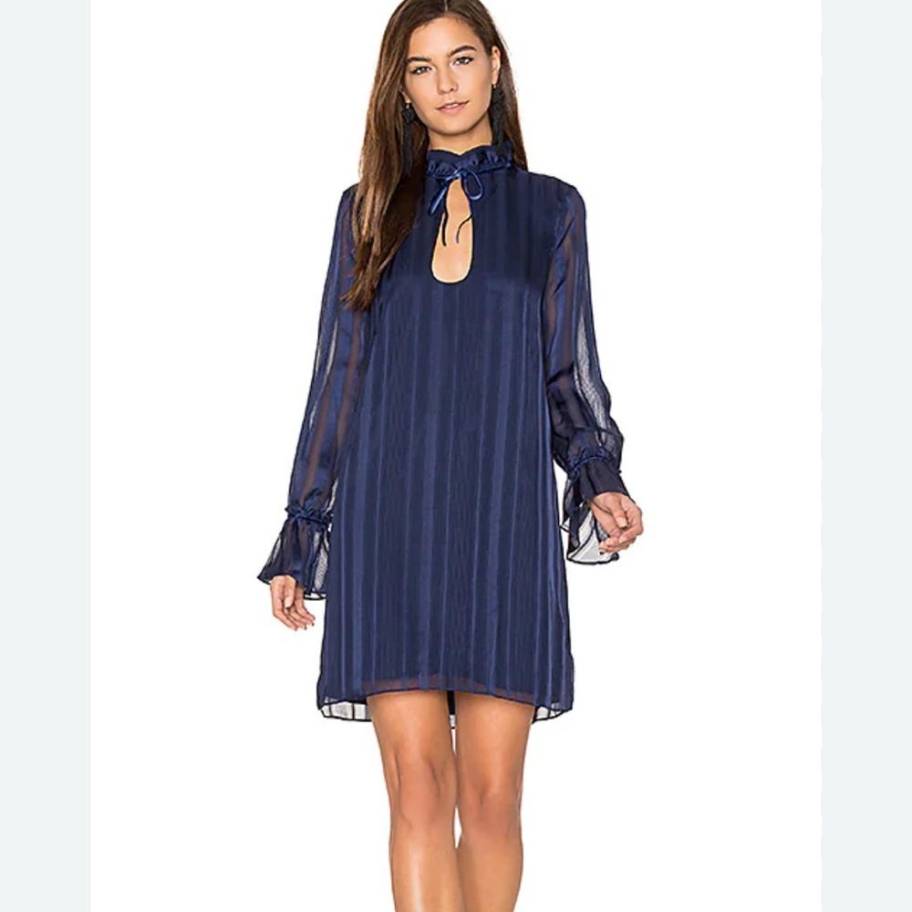 Revolve L’Academie 70’s Ruffle Sheer Sleeve Dress